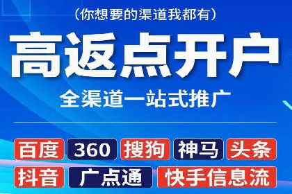 SEM推广策略：成功案例解析